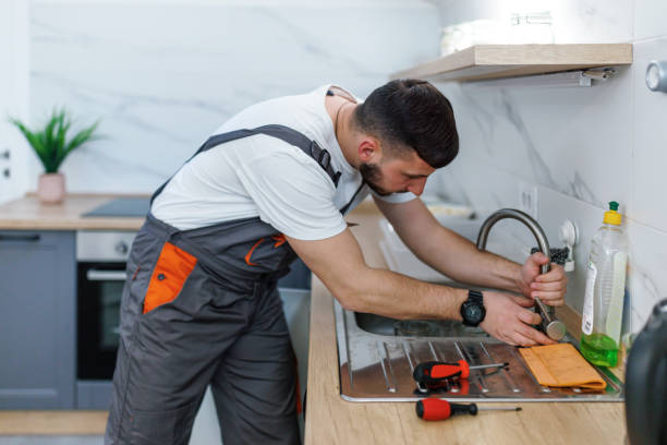 Best Plumbing Services Near Me  in Constantine, MI