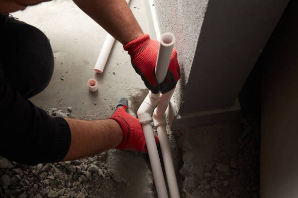 Best Local Plumber Services  in Constantine, MI