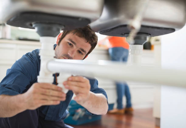 Best Plumbing Inspection Services  in Constantine, MI