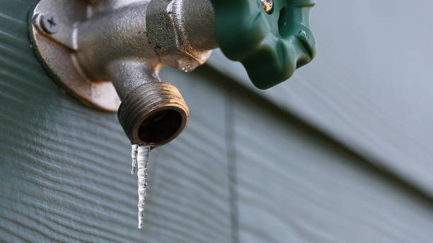 Best Residential Plumbing Services  in Constantine, MI