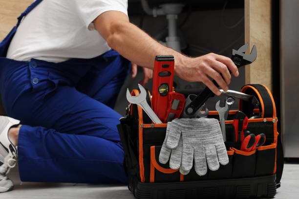 Best Commercial Plumbing Services  in Constantine, MI