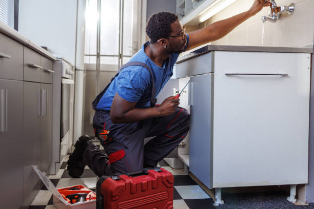 Best Same-Day Plumbing Service  in Constantine, MI