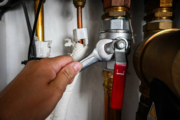 Best Clogged Drain Plumber  in Constantine, MI